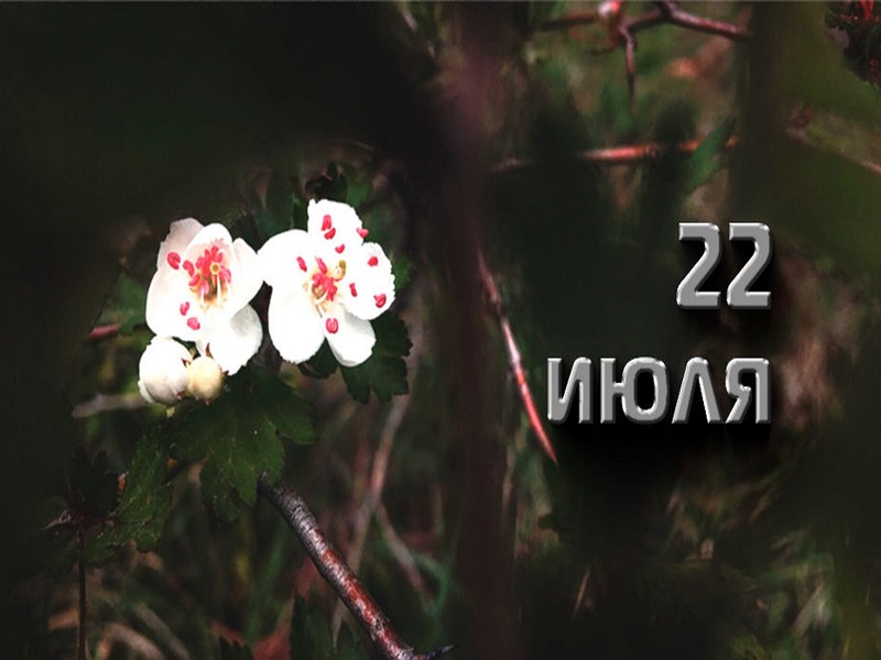 22 Июля.