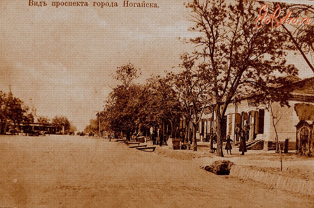 Фотографии.