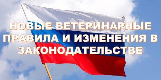 В закон о ветеринарии внесены изменения, касающиеся зоосанитарного статуса. В закон о ветеринарии внесены изменения, касающиеся зоосанитарного статуса.
