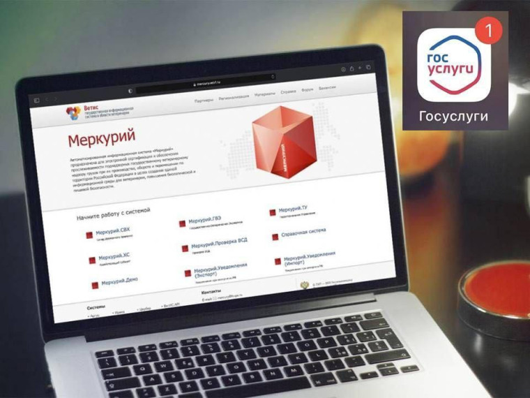 Обязательное использование ЕСИА при входе в ФГИС «ВетИС» с 1 декабря 2024 г.. Обязательное использование ЕСИА при входе в ФГИС «ВетИС» с 1 декабря 2024 г..